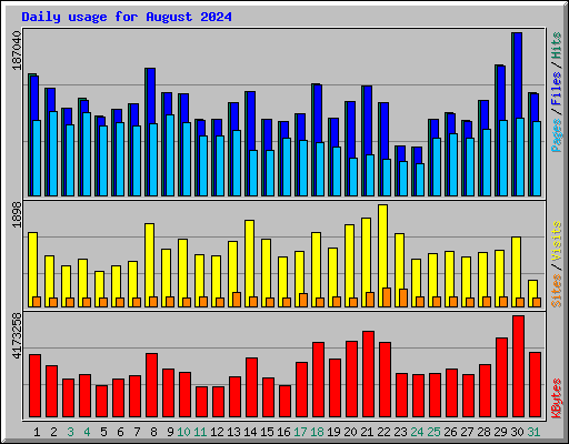 Daily usage for August 2024