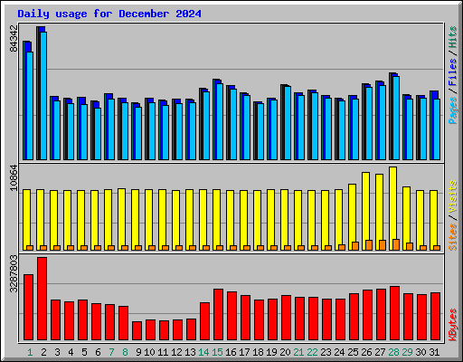 Daily usage for December 2024