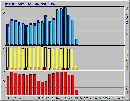 Daily usage for January 2025