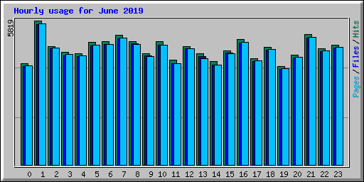 Hourly usage for June 2019