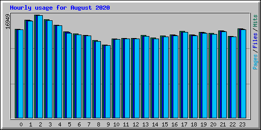 Hourly usage for August 2020