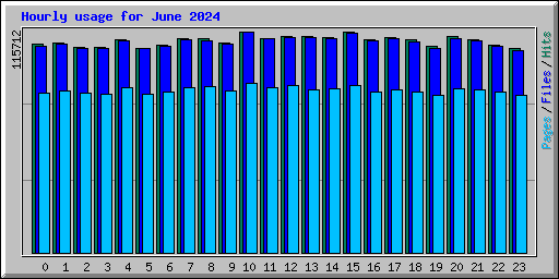 Hourly usage for June 2024