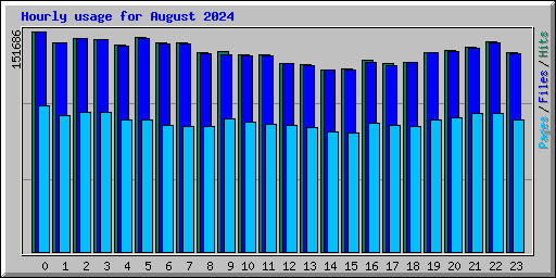 Hourly usage for August 2024