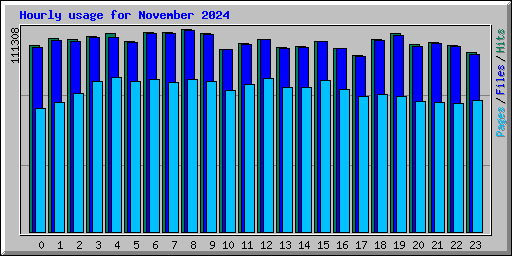 Hourly usage for November 2024