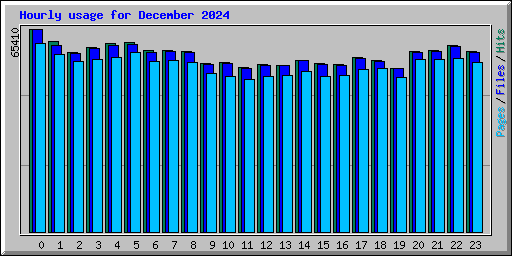 Hourly usage for December 2024