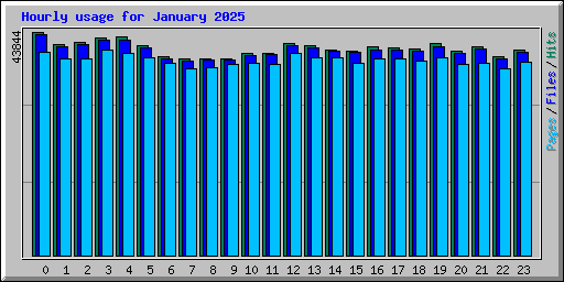 Hourly usage for January 2025