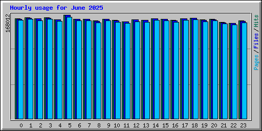 Hourly usage for June 2025