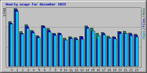 Hourly usage for December 2025