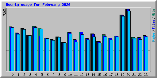 Hourly usage for February 2026